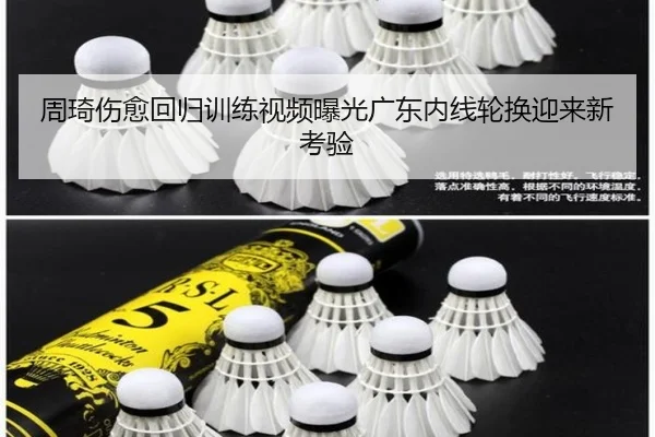 周琦伤愈回归训练视频曝光广东内线轮换迎来新考验